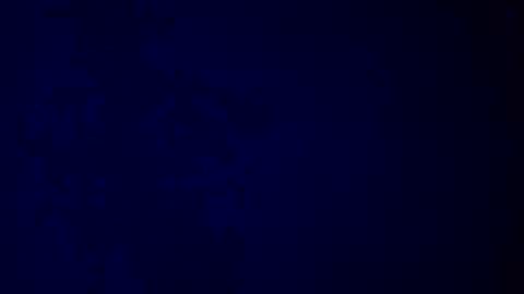 Snapshot of giuseppeciao206 chatting on December 16, 2025, 9:25 am elen06 online show from December 16, 2025, 9:25 am