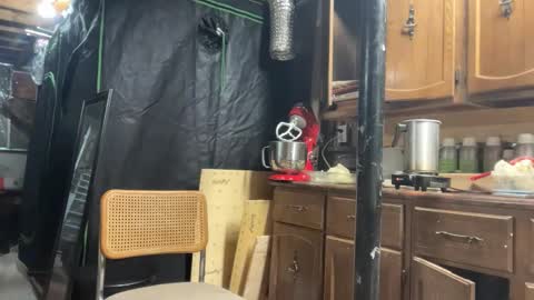 Snapshot of globalmovement chatting on March 25, 2026, 7:31 pm globalmovement online show from March 25, 2026, 7:31 pm