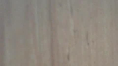 Snapshot of glyder1961 chatting on February 7, 2025, 3:41 pm Glyder online show from February 7, 2025, 3:41 pm