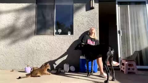 GoddessMayvn online show from December 10, 2024, 9:33 pm