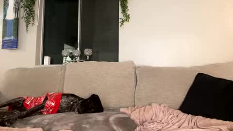 GoddessMayvn online show from December 26, 2024, 10:16 am