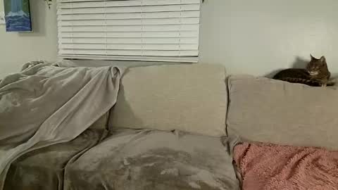 GoddessMayvn online show from January 30, 2025, 10:08 am