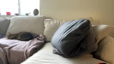 GoddessMayvn online show from February 11, 2025, 4:46 pm