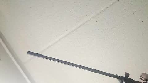 Taffy and Rmurda online show from March 19, 2026, 10:19 am