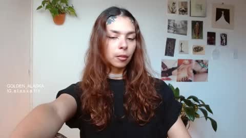 Alaska online show from November 8, 2025, 12:16 pm