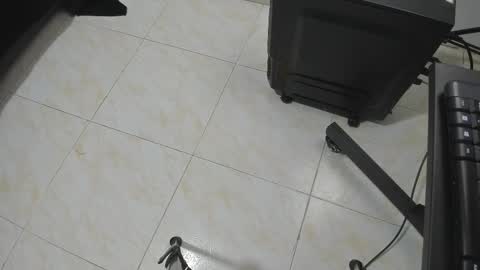 Snapshot of goldyht chatting on December 16, 2025, 12:54 pm goldyht online show from December 16, 2025, 12:54 pm