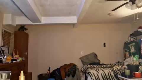 gonr369 online show from February 17, 2026, 12:18 am