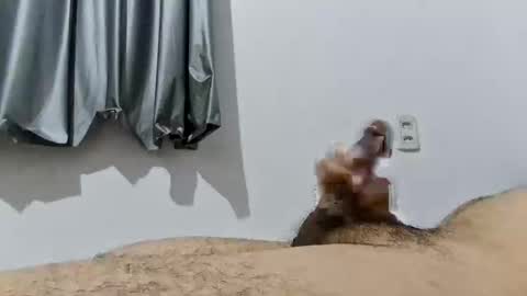 Good boy online show from December 19, 2025, 1:23 am