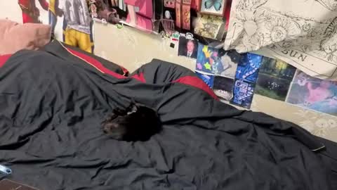 Snapshot of goth_pumpkin chatting on November 7, 2025, 8:42 pm Amy online show from November 7, 2025, 8:42 pm