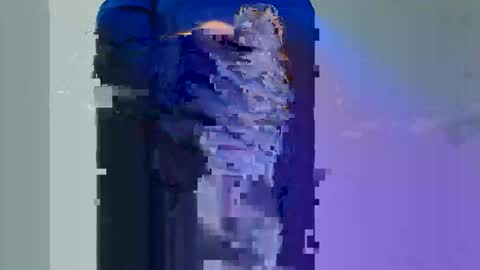 Longwood online show from November 30, 2025, 1:59 pm