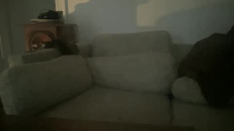 Snapshot of greenlova chatting on December 20, 2024, 8:23 pm Sonny online show from December 20, 2024, 8:23 pm