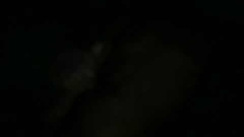 Snapshot of greenlova chatting on October 11, 2025, 10:25 am Sonny online show from October 11, 2025, 10:25 am