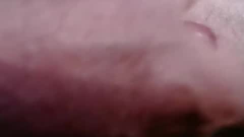 Snapshot of gregburns chatting on February 21, 2026, 8:43 pm Greg online show from February 21, 2026, 8:43 pm
