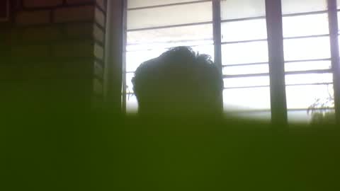 Grey Stud online show from February 4, 2025, 6:36 am