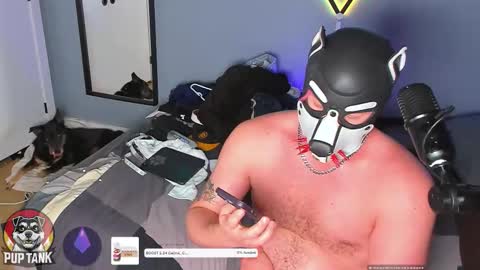 Snapshot of growingcub94 chatting on November 23, 2025, 7:35 pm Alpha pup online show from November 23, 2025, 7:35 pm