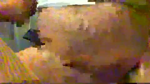 Gary online show from December 15, 2024, 4:29 am