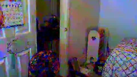 Gary online show from January 6, 2025, 11:29 am