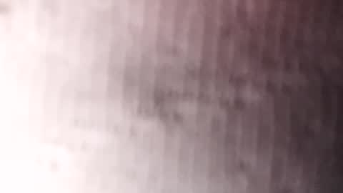 Gu online show from January 20, 2025, 3:26 am