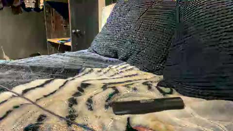 gumbywanna online show from March 15, 2026, 2:39 am