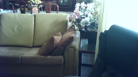 Snapshot of gutobhz249564 chatting on March 4, 2025, 6:07 pm gutobhz249564 online show from March 4, 2025, 6:07 pm