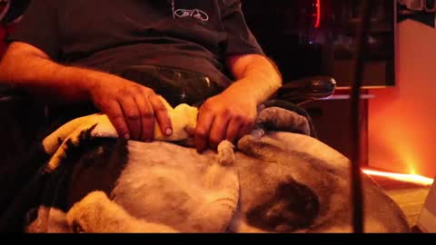 h0tttsteel online show from December 18, 2024, 1:12 pm