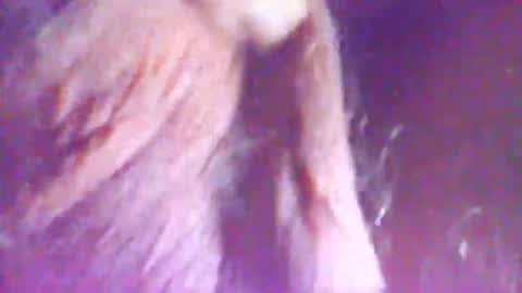 Snapshot of hagridthehorrible chatting on December 5, 2025, 11:30 am hagridthehorrible online show from December 5, 2025, 11:30 am