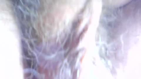 hagridthehorrible online show from April 7, 2026, 11:32 am