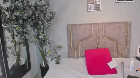 haileystonei online show from November 21, 2025, 11:31 am