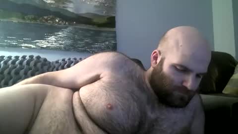Hairiest Bear online show from January 12, 2025, 8:36 am