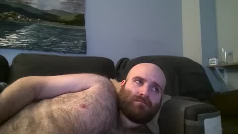 Hairiest Bear online show from January 21, 2025, 4:54 am