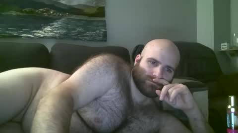 Hairiest Bear online show from January 21, 2025, 7:58 am