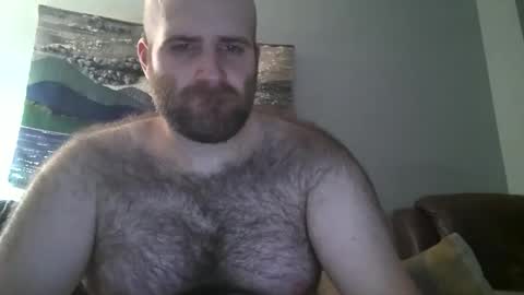 Hairiest Bear online show from February 17, 2025, 11:34 am