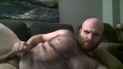 Hairiest Bear online show from March 9, 2025, 6:28 am