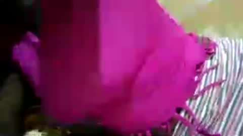 Snapshot of hairy_africanbae chatting on July 12, 2026, 10:01 pm hairy_africanbae online show from July 12, 2026, 10:01 pm
