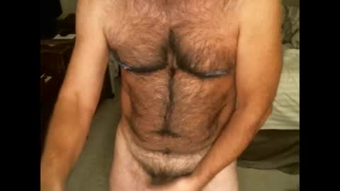 Snapshot of hairypecsguy chatting on November 20, 2025, 8:47 am Hairy pecs online show from November 20, 2025, 8:47 am