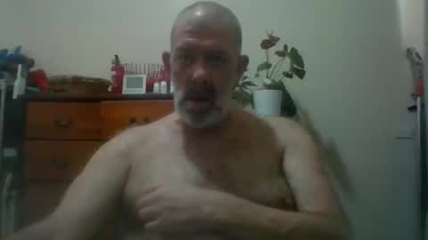 HairyPigSyd online show from November 14, 2025, 3:27 am