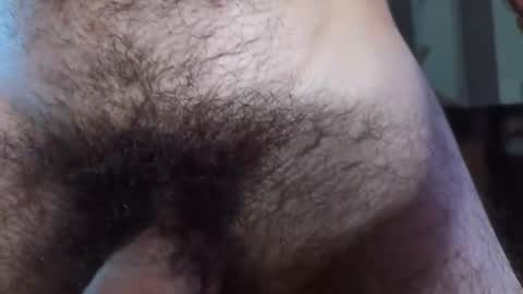 Snapshot of hairytwinkguy chatting on February 28, 2025, 11:45 pm Hairy online show from February 28, 2025, 11:45 pm