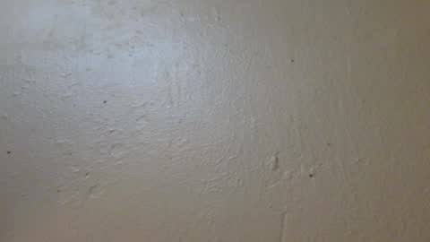 hamhead71 online show from January 27, 2025, 6:52 pm