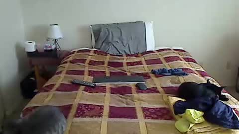 hammerthatthang73 online show from March 17, 2026, 5:05 pm