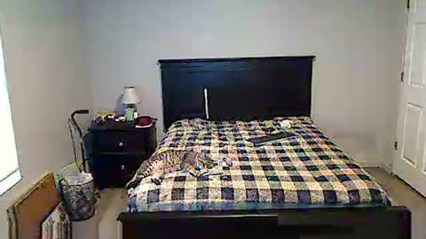 Snapshot of hammerthatthang73 chatting on May 17, 2026, 11:28 am hammerthatthang73 online show from May 17, 2026, 11:28 am