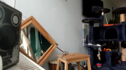 Snapshot of handncocknocum chatting on February 25, 2025, 10:47 am handncocknocum online show from February 25, 2025, 10:47 am