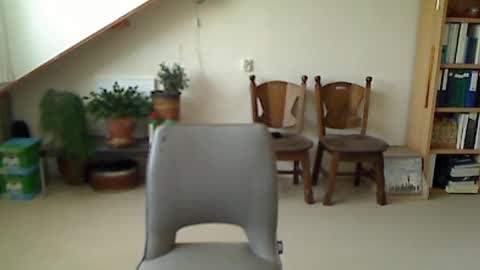 Snapshot of hankk54 chatting on June 23, 2026, 7:17 am hankk54 online show from June 23, 2026, 7:17 am