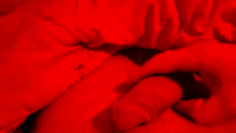 Small things matters online show from March 24, 2026, 6:46 pm