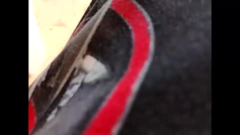 hardandhorny422 online show from October 16, 2025, 5:14 pm