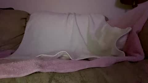 Slim West Cox online show from February 11, 2026, 6:51 am