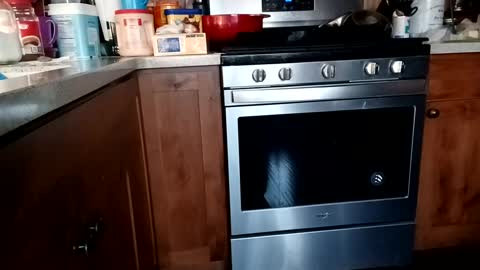 Snapshot of hardup57 chatting on February 21, 2025, 1:44 am hardup57 online show from February 21, 2025, 1:44 am