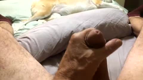 Snapshot of harleycpl chatting on November 11, 2025, 1:16 am Harley99 online show from November 11, 2025, 1:16 am