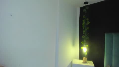 harleyqueen_robbie online show from December 21, 2024, 11:34 pm