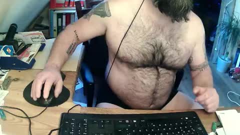 Snapshot of harleywerner chatting on March 5, 2026, 6:31 am harleywerner online show from March 5, 2026, 6:31 am