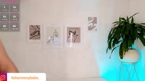 Snapshot of harmonybabe_ chatting on November 8, 2025, 7:12 pm Harmony online show from November 8, 2025, 7:12 pm